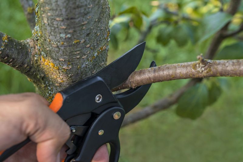 Products For Tree Prunings in use