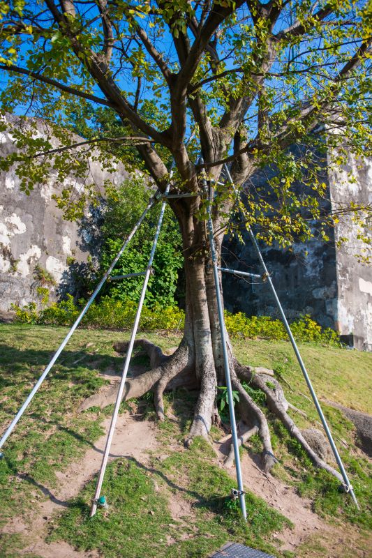 Structural Support Pruning