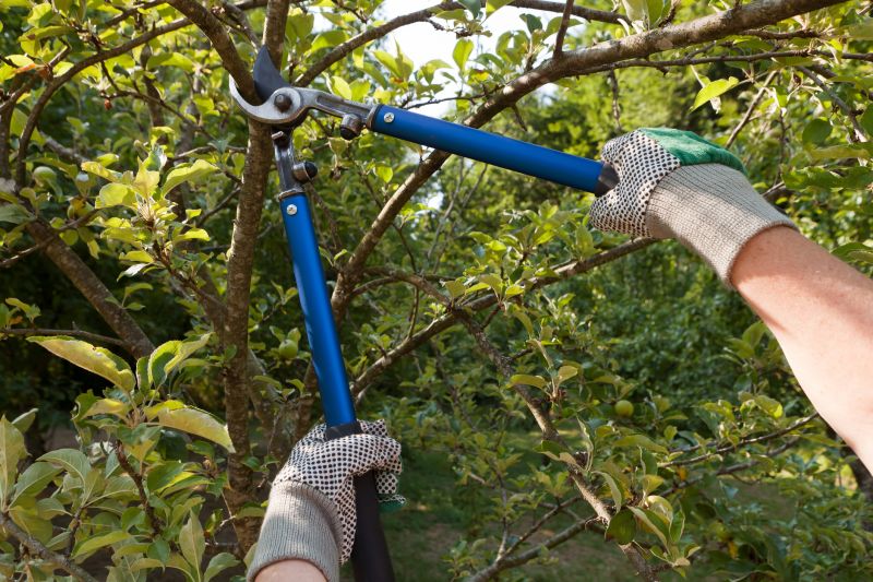 Independent Tree Pruners
