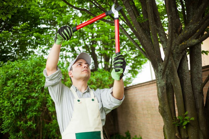 Contact About Tree Pruning